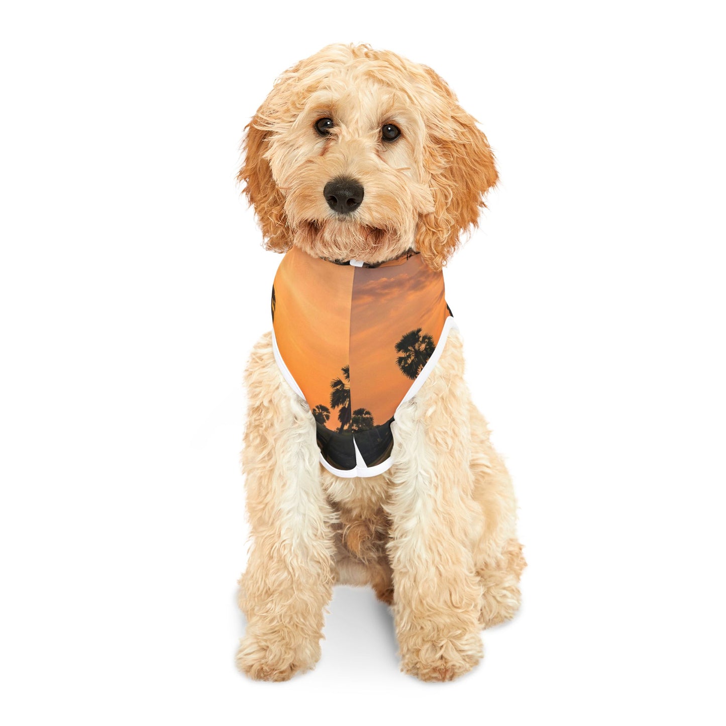 Angkor Reflection Pet Hoodie