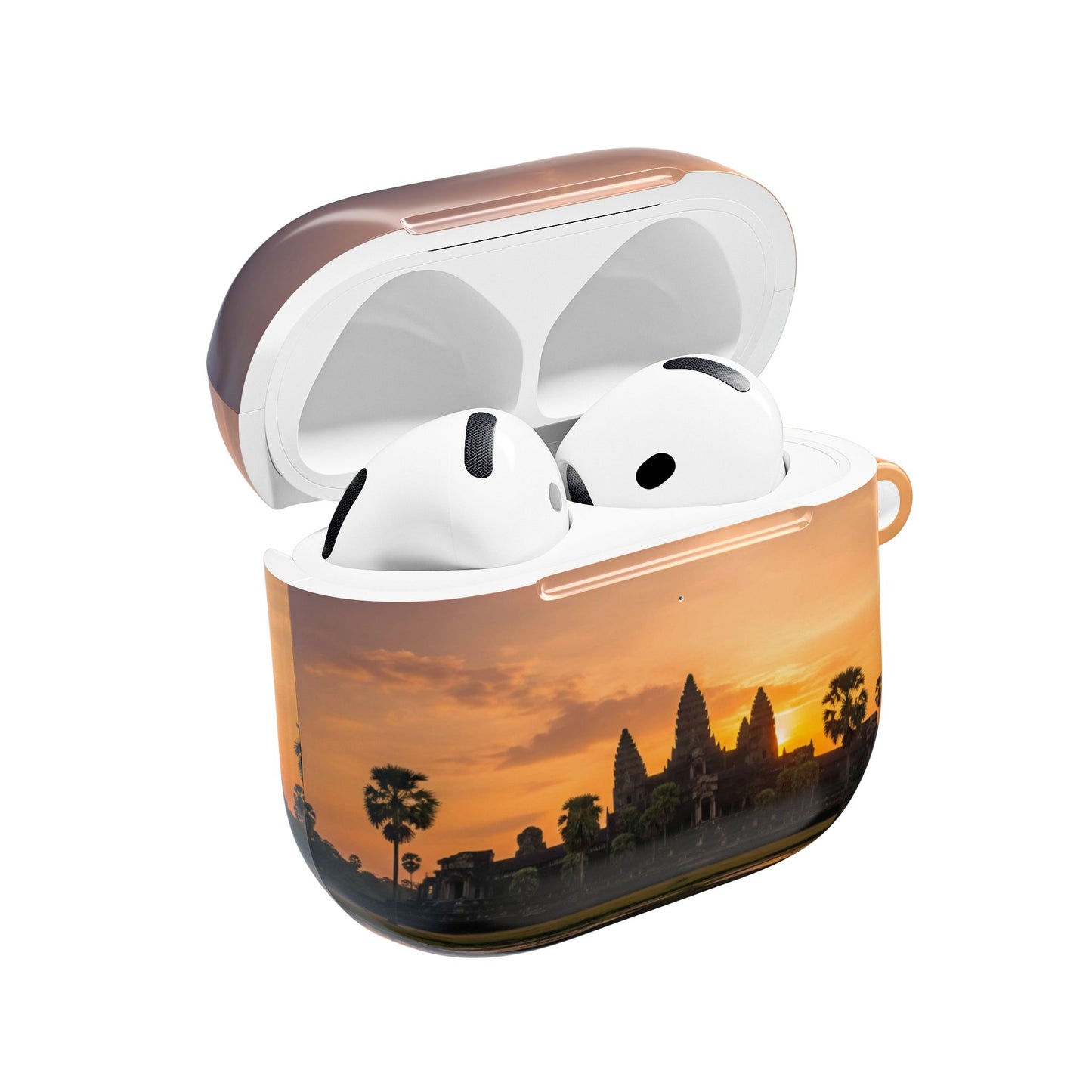 AirPod Cases