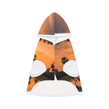 Angkor Reflection Pet Hoodie
