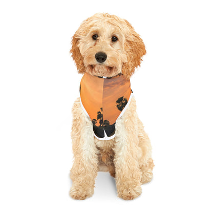 Angkor Reflection Pet Hoodie