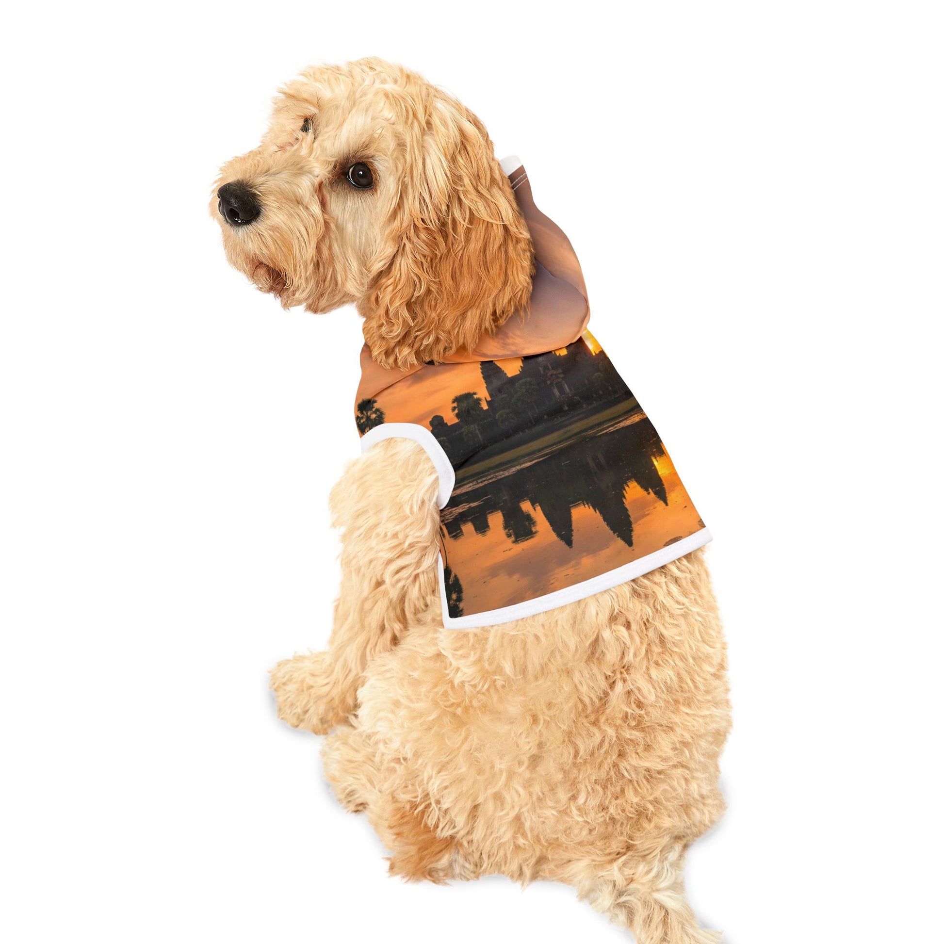 Dog wearing a Halloween-themed costume with a black and orange design on a white background