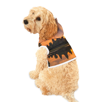 Dog wearing a Halloween-themed costume with a black and orange design on a white background